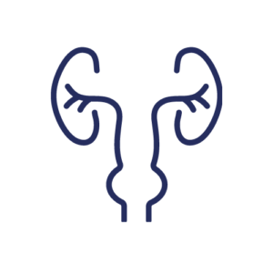 Urologia e Andrologia