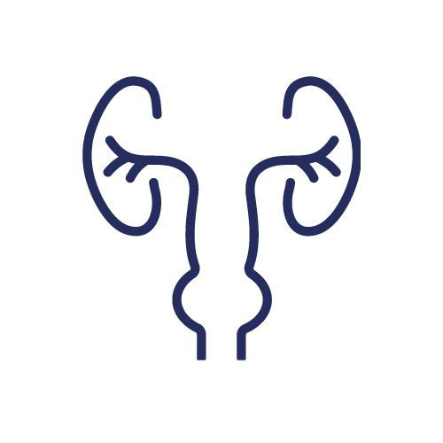 Urologia e Andrologia