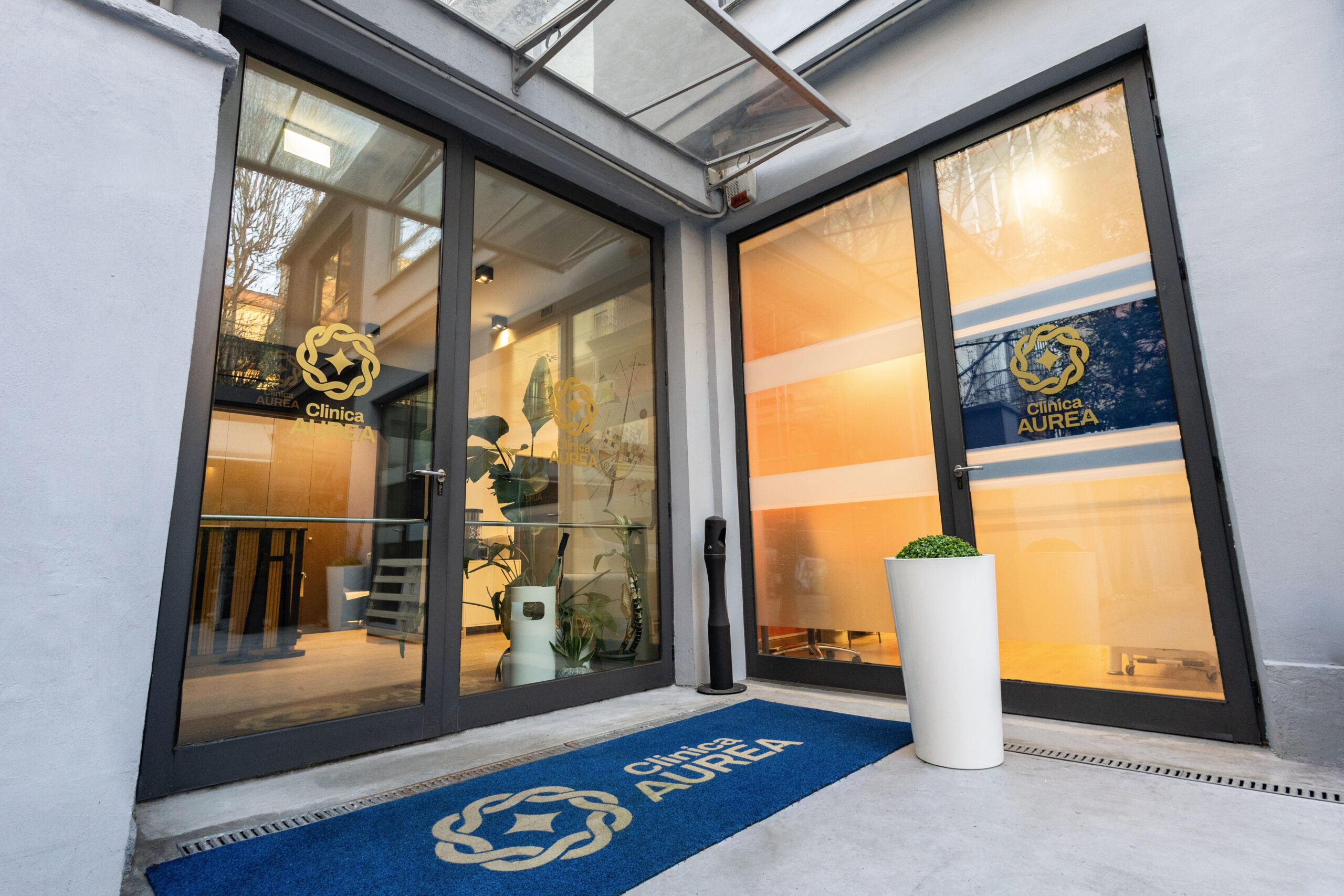 Doctor consulting with a patient